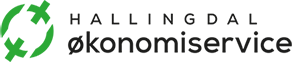 Hallingdal Økonomiservice Logo